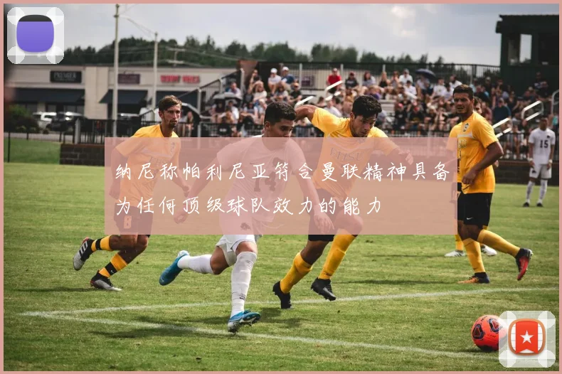 纳尼称帕利尼亚符合曼联精神具备为任何顶级球队效力的能力