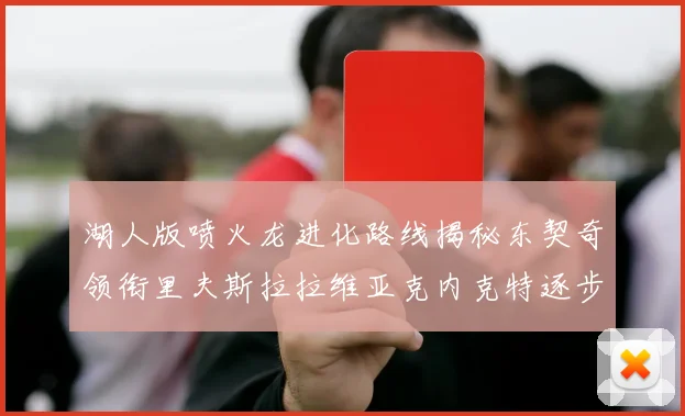 湖人版喷火龙进化路线揭秘东契奇领衔里夫斯拉拉维亚克内克特逐步崛起