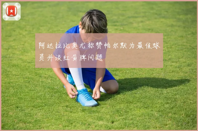 阿达拉比奥尤称赞帕尔默为最佳球员并谈红黄牌问题