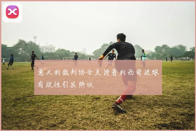 意大利裁判协会支持普利西奇进球有效性引发热议