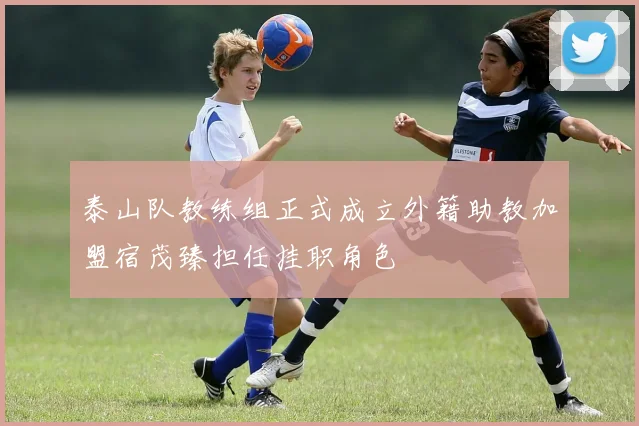 泰山队教练组正式成立外籍助教加盟宿茂臻担任挂职角色